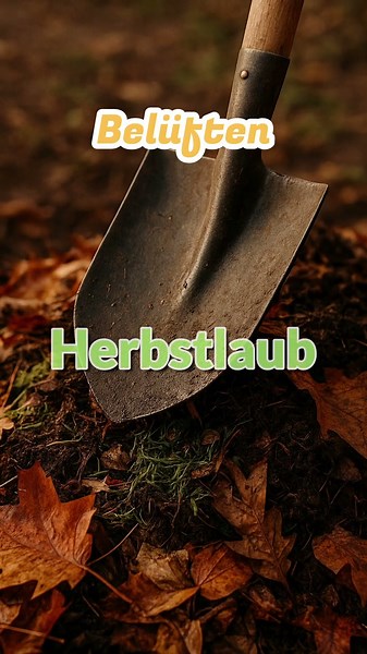 Diese Kompost-Tipps musst du kennen!