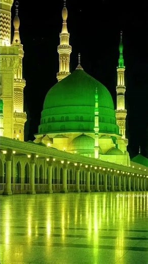 بس رہا ہے نظر میں مدینہ 😭😭😭😭😭😭😭 #duet #syedhassanullahhussaini