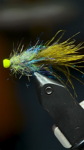 Court on Instagram: "Little balanced leech Why are they so effective? The slow drift and the subtle movement of the water choppiness just seem to make this fly un-resistible. I’m not sure there is a color that won’t work either. I am partial to chartreuse though 🫶 #wininthedark #troutflies #liveoutside #begood #balancedleech"