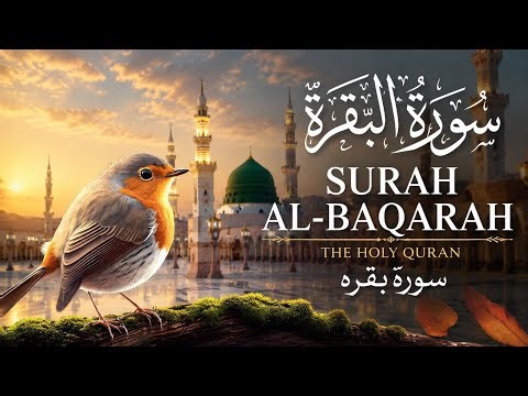 Surah Baqarah | Quran Ki Sabse Lambi Surah .Surah Baqarah Ki Tilawat | Ghar Se Jinn, Shaitaan Door