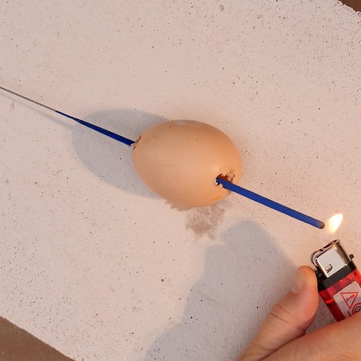 65K views · 98 reactions | We Testing an Egg: How Much Can Hold a Weight | DeMilked | Facebook