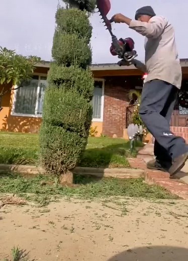 Expert Hedge Trimming Techniques for a Perfect Garden