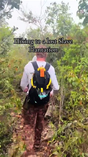Exploring a Lost Bahamian Slave Plantation