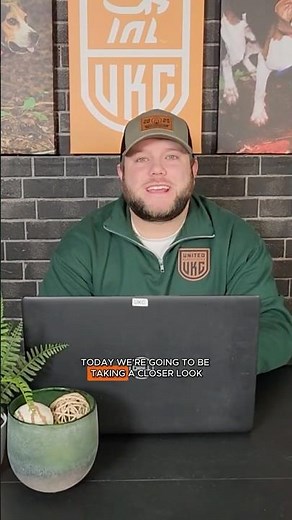 Online Processing Tutorial Videos are LIVE!