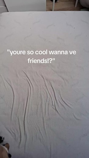 Experience the Fun of Hobby Horse Dressage Competition