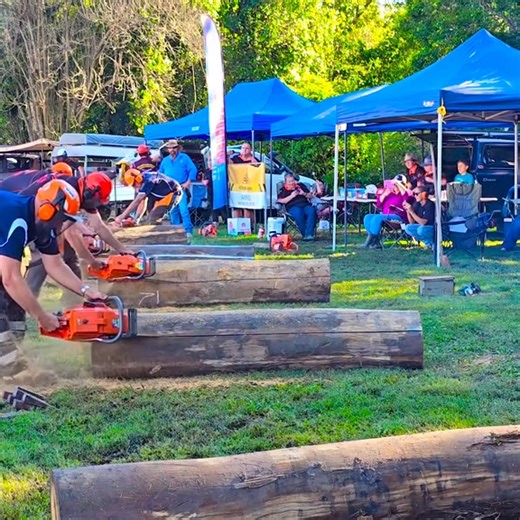 Amateur loggers wood splitting contest 2024 #logging #logger ##loggingvideos #chainsawman #loggertok #steep #barko495 #stihl880 #stihl661 #lumberjack | Sander Young