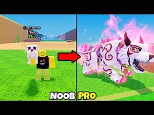 Noob to Divine in Steal an Egg Noob to Pro!