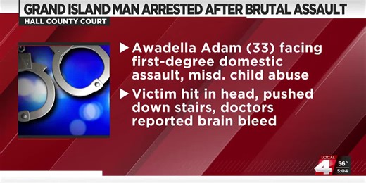 Assault in Grand Island left victim with brain bleed, court records say