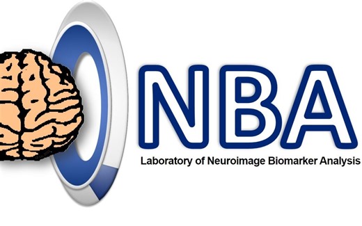 MRI原理与sMRI、fMRI、DWI、DTI的原理、预处理与统计分析——NABLab卢家峰老师教学视频