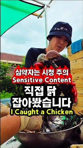토종닭 직접 잡아 삼계탕 먹어봤더니… 사 먹 이유가 있었다 | 닭잡기 | 삼계탕 | Native Chicken | Chicken Catching