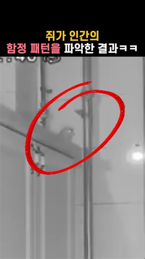 What happens when a mouse figures out how human traps work lol