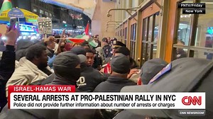 Huge crowds gather for pro-Palestinian rally in New York