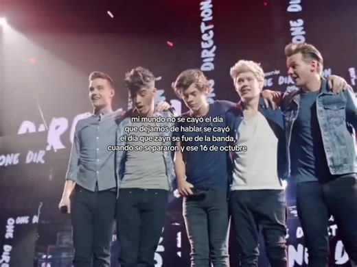 One Direction: Uncovering the Legacy of 1D