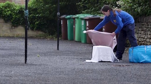 12K views · 256 reactions | Did you know that an important part of our work is trapping, neutering and returning (TNR) feral cats? It's essential to keep feral colonies healthy and keep the cat population under control. Are you caring for feral cats in your local area? Tell us your story! | Cats Protection | Facebook