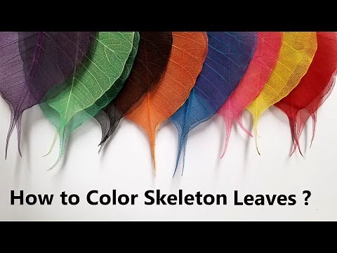 Coloring Skeleton leaves / How to color skeleton leaves / Art and craft projects / Leaf craft