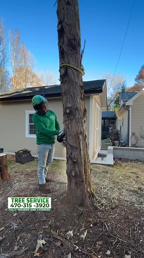 ‼️ Tree Removal project ‼️ Turning a house into their Home  Gainesville, Ga . Give us a call for a Free & honest Quote ‼️ (470) 315-3920 Tree service at a affordable price‼️ 10% discount this fall for anyone ✅ Fully insured and Licensed . #treeservice — #treeremoval - #arborist- #treecare #treework - #treeserviceAtlanta - #arboristGeorgia | Resurgens Tree Service | Facebook