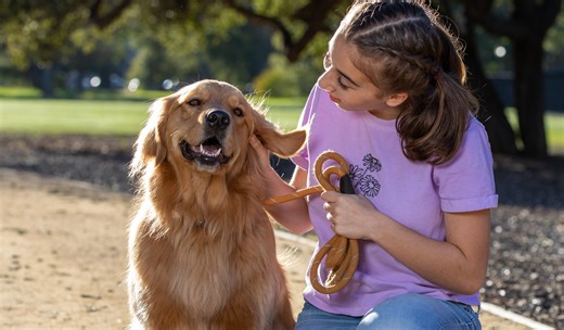 Pet Insurance for Cats & Dogs from Healthy Paws, a Chubb company