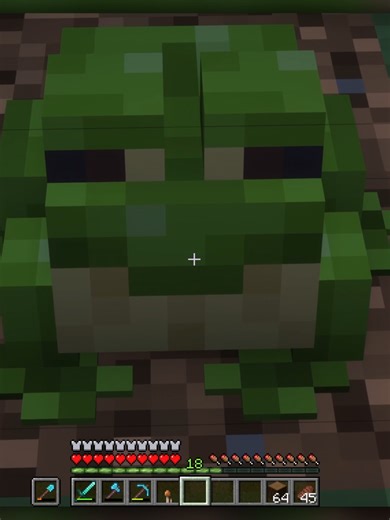 The Tragic Story of Chompy the Frog in Minecraft