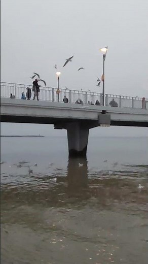 Kołobrzeg Pier. Poland. 🇵🇱