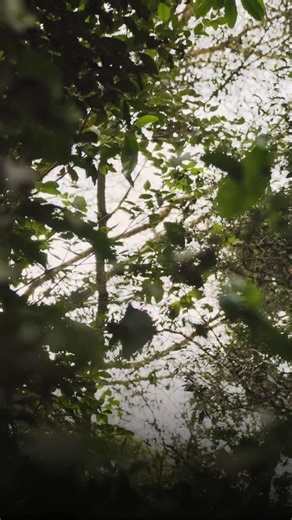 Wishing you a Christmas filled with warmth, wonder and beautiful stories. -The Hemingways Collection. | Hemingways Watamu