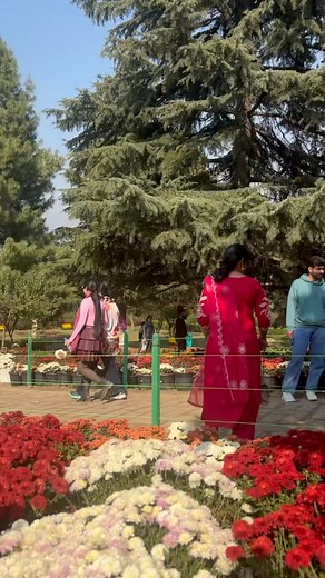 36K views · 981 reactions | Beautiful Views Of Kashmir | Nature Explore | Facebook