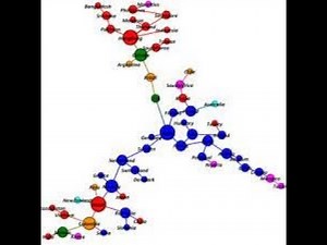 Network Analysis and Clustering of Stock Prices Using Python