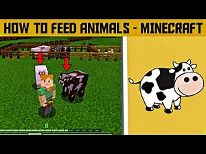HOW TO FEED ANIMALS IN MINECRAFT SURVIVAL |4-UNick Gaming|