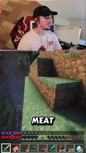 Pause....... #minecraft #youubeshors #shorts #mods #streamer