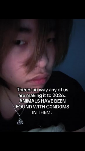 Shocking Discovery: Animals Found with Condoms Inside