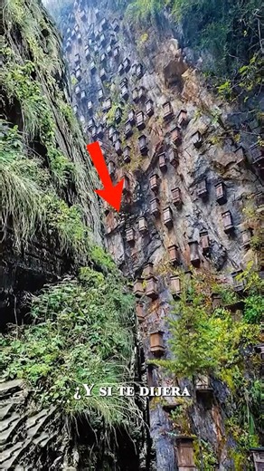 El Bosque Prohibido de China, donde vigilan criaturas misteriosas: Shennongjia #shorts