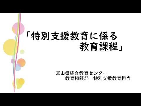 「特別支援教育に係る教育課程」