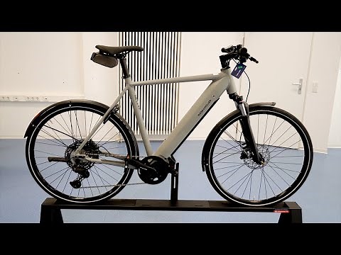 E-Bike 2022 | RIESE & MÜLLER Roadster Touring Trekking Bosch Performance Line CX 4.0 Review