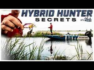 Strike King Hybrid Hunter | Key Features and Applications