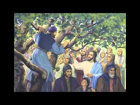 Zacchaeus - A Song for First Reconciliation