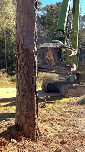 Up close and personal with the Sennebogen 728 Albach grapple saw 👁️😲🪚 Only with the Sennebogen and Albach combo do you get the cutting speed, holding strength, and maneuverability necessary for tree care operations! #sennebogen728 #treecare #heavyequipment #sennebogen #albach #fixedgrapplesaw #grapplesaw #chainsaw #operator Video courtesy of @jakewwatson | Sennebogen Tree Care Division