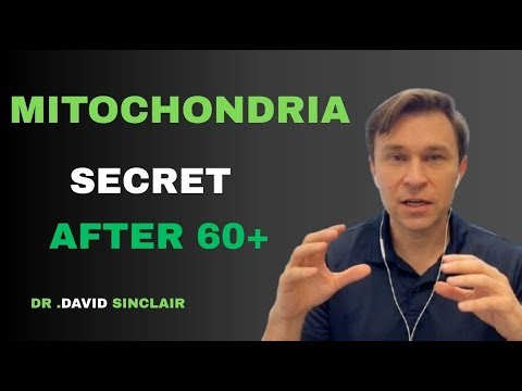 Repair Your Mitochondria if They're Old and Damaged (Scientific Proof) Dr. David Sinclair