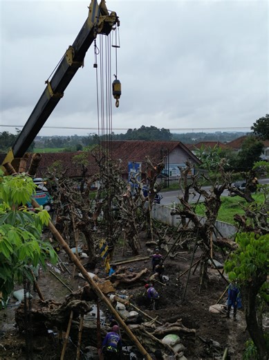 RNL LANDSCAPE GARDEN AND LANDSCAPE CONTRACTOR #landscape #contractor #garden #jasataman #galeri