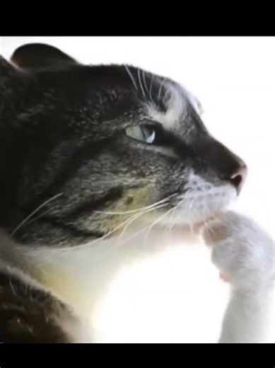 hummm... #LEDMotorcycleHelmet#fyp #CustomHelmet#motorcycle #arduino