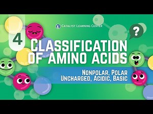 Classification of Amino Acids Based on R-group