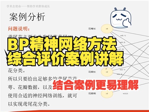 【评价类研究方法】7-4|BP神经网络方法综合评价的案例讲解，结合案例更简单，一个视频掌握BP神经网络具体应用