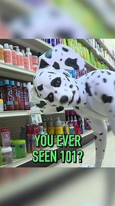 I got that dog in me | Eric Andre