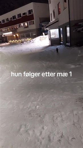 Ken Roger Nilsen (@ken.roger.nilsen)’s videos with original sound - Ken Roger Nilsen