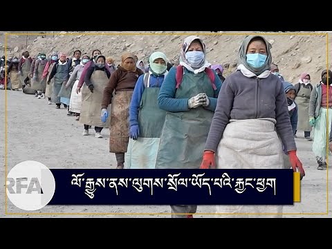 Buddhists in Ladakh are performing mass prostrations for the benefit of all sentient beings.