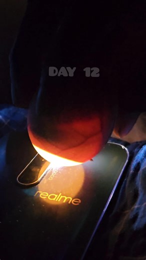Day 12 Egg Candling 🥚✨ | Chick Development Inside Egg | Life Growing!