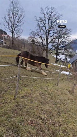 4.6M views · 10K reactions | A lucky escape! | Metro | Facebook