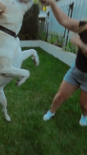 Ready to move? Find your perfect home with Afford’s supported independent living services. | Australian Foundation For Disability | Facebook