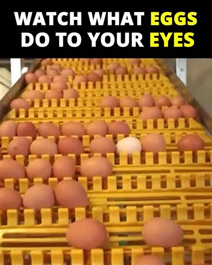 This "vision-repairing loophole" is helping people restore vision, erase floaters, and even toss out their glasses and contacts – all without eye drops, needles, or painful surgery. Thousands of people report clearer vision, reduced eye strain, and more confidence driving – even at night! Click below to see the "vision-repairing loophole" stunning doctors around the world. | Retina Renew | Facebook
