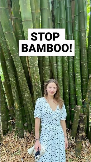 This Stops Bamboo Spreading! #bamboo #shorts