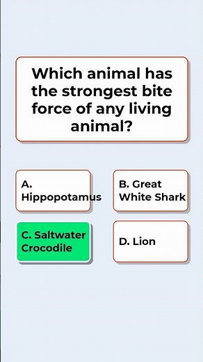 bizarre animal facts | world weird animals | top ten weirdest animals