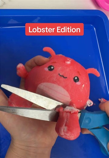 Lobster from@Fidget Toys Plus 🦞 #mrsbench #fidgettoysplus #smallbusiness #worldsbiggestfidgettoystore #herarmswerecutoff